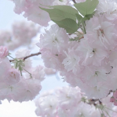 Furry绘画改稿思路福瑞交流群